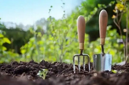 ��� ������������ ������� ����� ��������� ������ �������