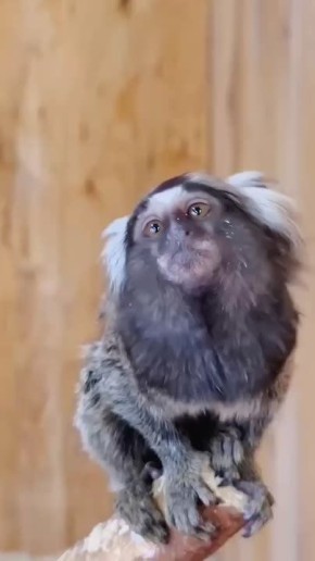 ������ ����!. ��� ���� ���������� (� ������������)? �������� ��������� �������� �� ��, ����� �� ������ ���� �� ������ �����������, �� � ������� ��� ����