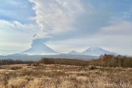 ������ �� ��� ������. ������� ������ �� �������� �� ������� ���������-2026