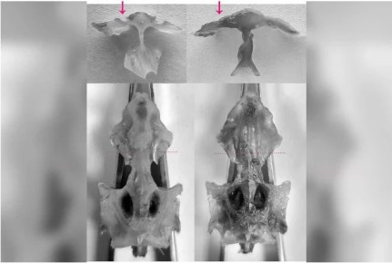 �� �������� ����� ����, ������� �� ������ ������������