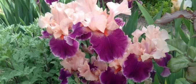 ��� ������� ���������� �����, ����� �� ��� �� �������������