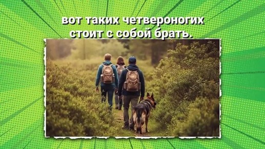 ������������� ��������� �������� ��������! ���������� �������! ����� ��� � �������!