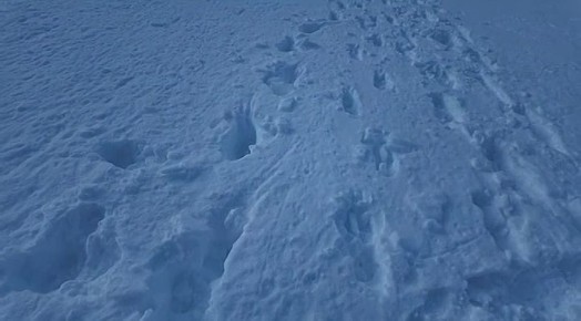 ���� ��� ������ �������� ������� � ���� ���������� ������������ �� �������� � �����