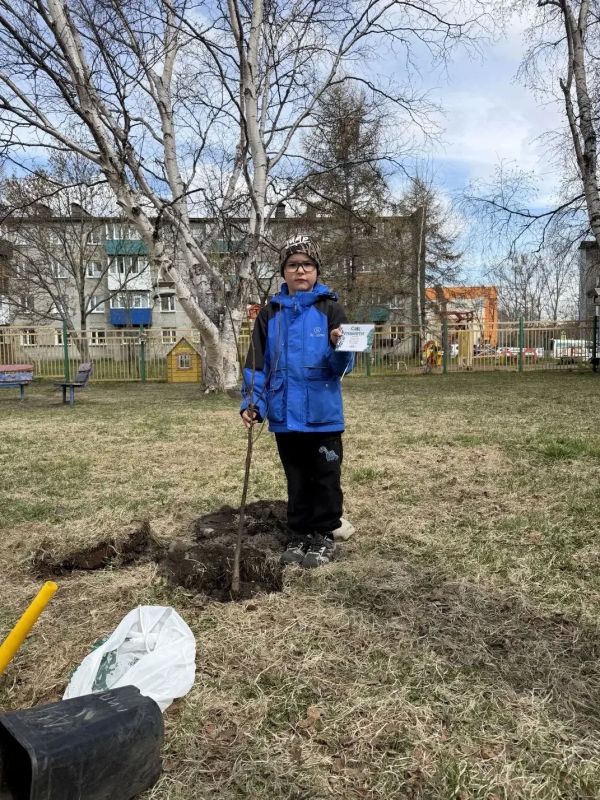 Патриотическая акция «Сад памяти» прошла в Елизовском округе Патриотическая акция «Сад памяти» прошла в Елизовском округе