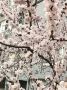 Хороших выходных. Хабаровск +15 °C ночью, +25 °C днем