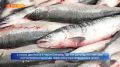 ������ ���� ��� ������� �������������� ��������� � ���������� ������: �� ���� ���������� � ��������������