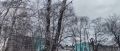 Старые деревья в парке «Электрон» уберут — ради безопасности людей