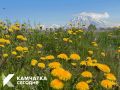 Доброе утро, Камчатка!. Лето у нас особенное