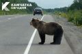 �� �������� ���������� ������� ���������� �� ������ ���������
