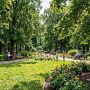 Лето в центральных районах Камчатки наступило на 18 дней раньше обычного