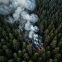 Риск лесных пожаров усилился в пяти сёлах Камчатки — до 25 июня