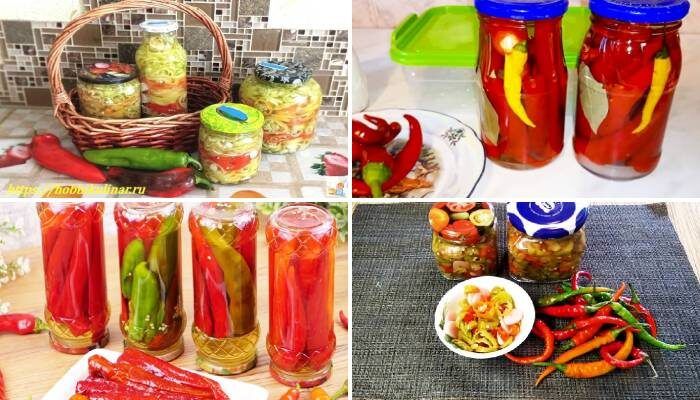 Маринованный острый перец на зиму: 6 потрясающих рецептов для настоящих гурманов