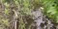 ���� � ������� � ����� ������ ��������������?