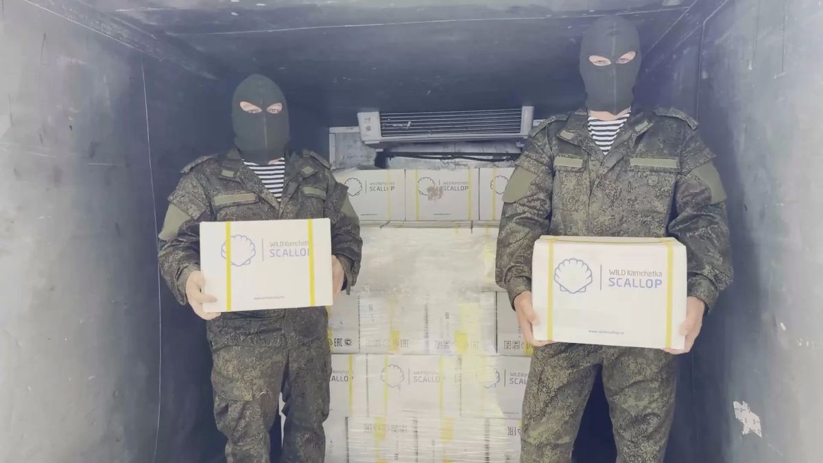 Камчатским морпехам отправили больше тонны гребешка Камчатским морпехам отправили больше тонны гребешка