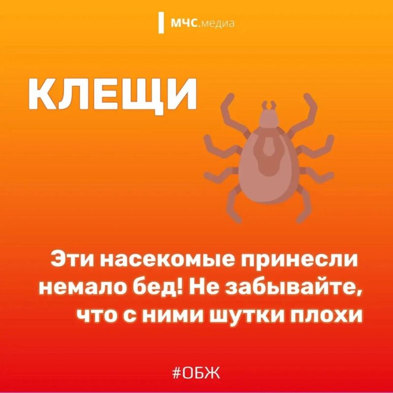 Лето — это долгожданный отдых, поездки на природу, купание и долгие прогулки Лето — это долгожданный отдых, поездки на природу, купание и долгие прогулки