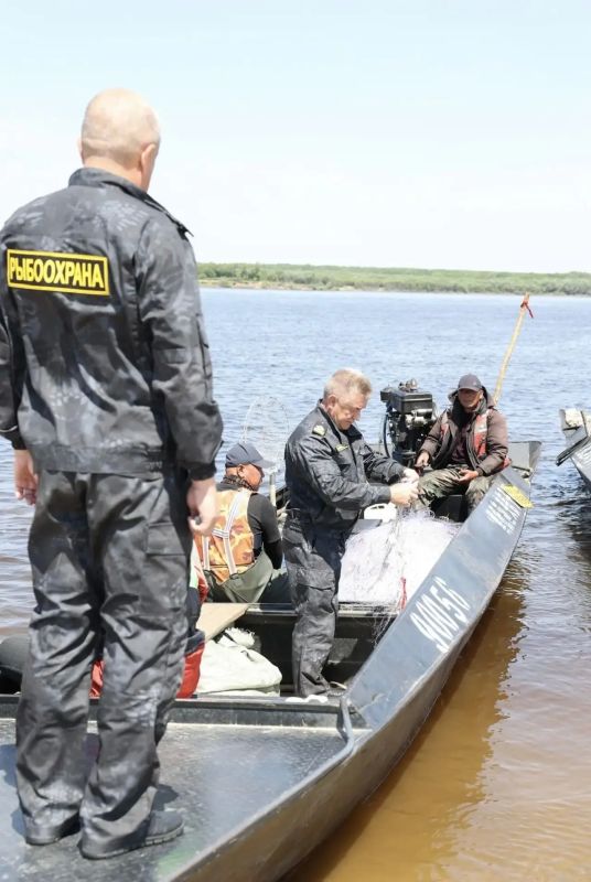 Россия и Китай вместе борются с браконьерством и охраняют рыбу Амура Россия и Китай вместе борются с браконьерством и охраняют рыбу Амура
