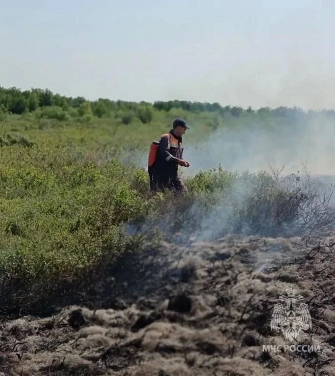 На Камчатке ликвидирован самый мощный за последние пять лет лесной пожар На Камчатке ликвидирован самый мощный за последние пять лет лесной пожар