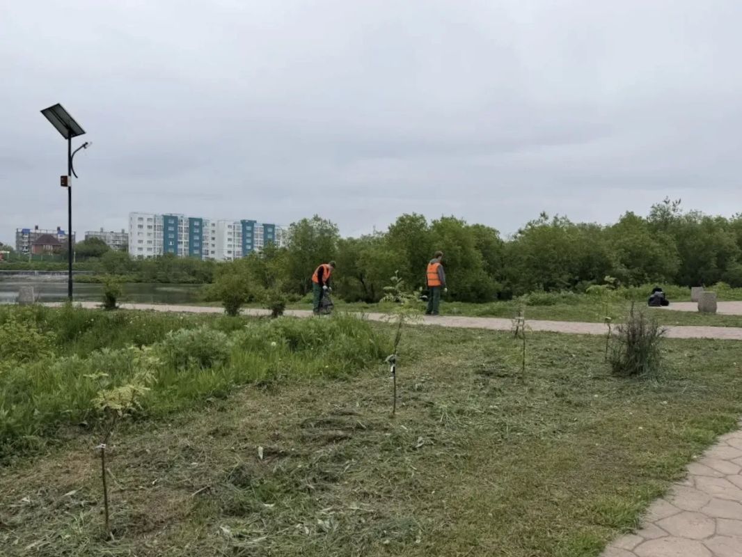В нашем городе активно проходят молодежные экологические акции В нашем городе активно проходят молодежные экологические акции