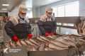 В январе–мае 2026 года ключевые отрасли Камчатки показали рост