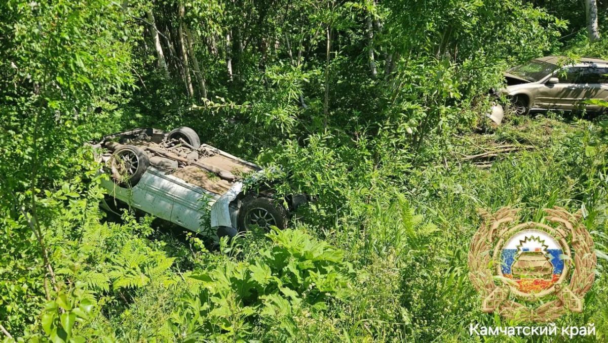В аварии на мильковской трассе пострадали дети