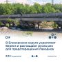 � ���������� ������ ��������� ����� ��� � ��������� ������