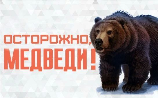 Туристов на Камчатке предупредили об опасности встреч с медведями