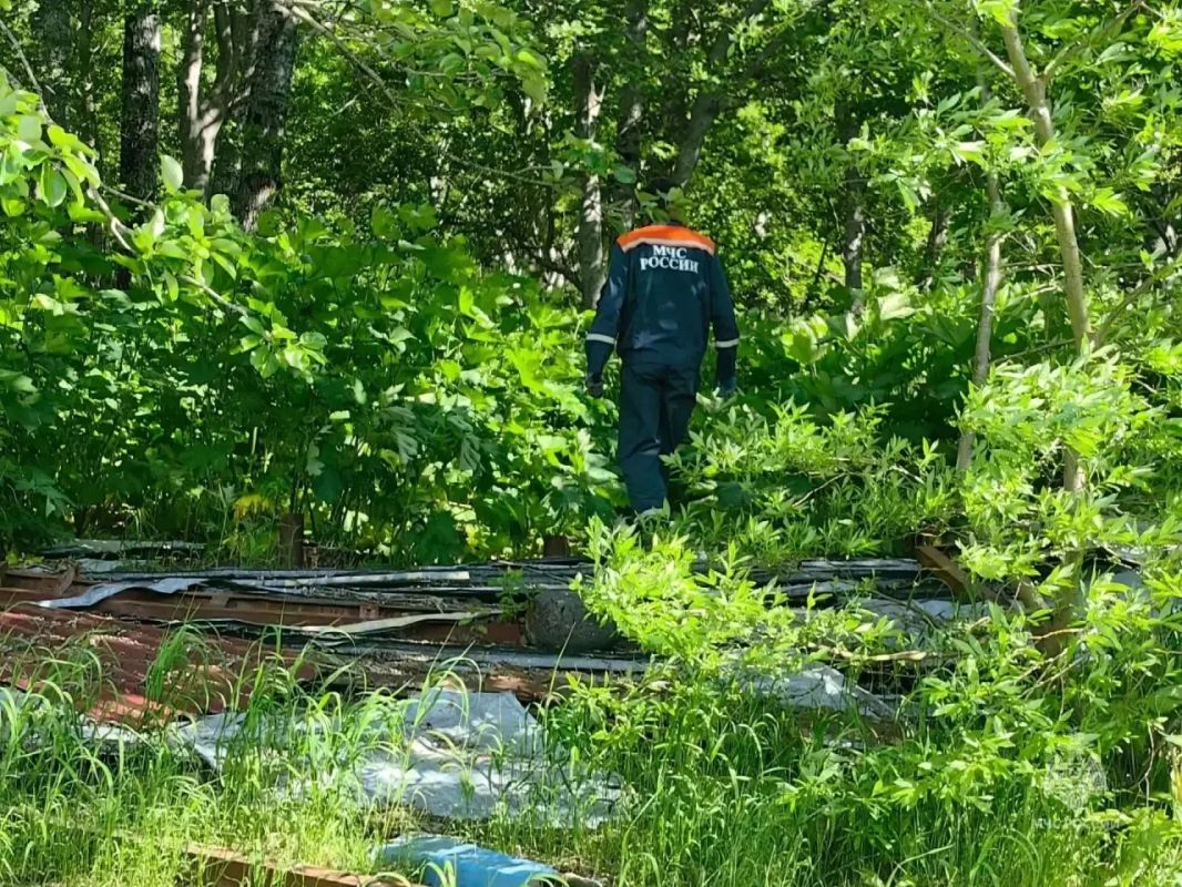 На Камчатке спасатели эвакуировали мужчину, застрявшего в лесу На Камчатке спасатели эвакуировали мужчину, застрявшего в лесу