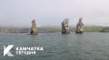 Доброе утро, Камчатка! Готовы к новой рабочей неделе?
