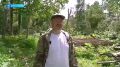 Большой субботник прошёл в этнодеревне Пимчах