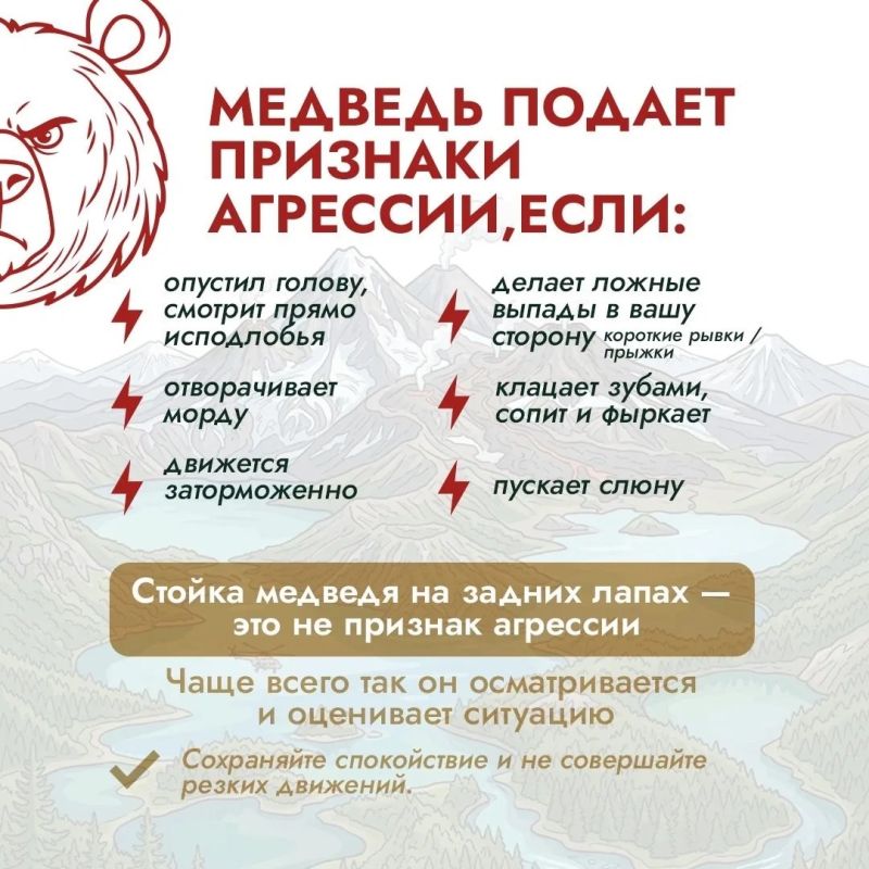 Собираетесь в лес, на рыбалку или в поход? Собираетесь в лес, на рыбалку или в поход?