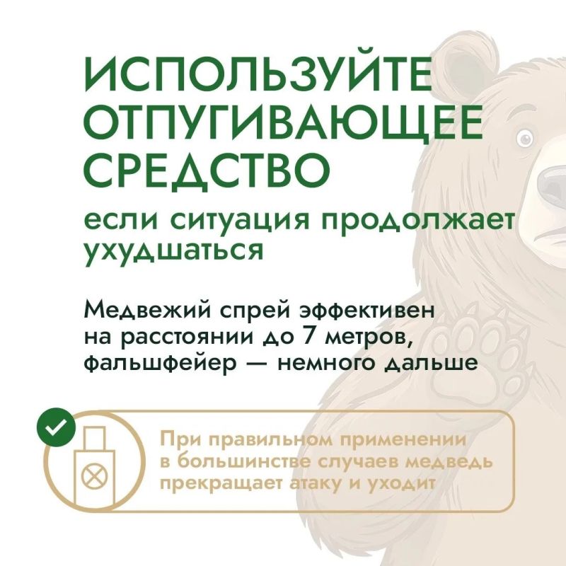 Собираетесь в лес, на рыбалку или в поход? Собираетесь в лес, на рыбалку или в поход?