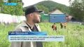 Каникулы с пользой на первой работе: с начала лета в столице Камчатки можно увидеть подростков в оранжевых жилетках трудовых отрядов «Молодой Петропавловск»