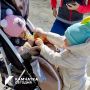 За пять лет количество многодетных семей на Камчатке увеличилось вдвое