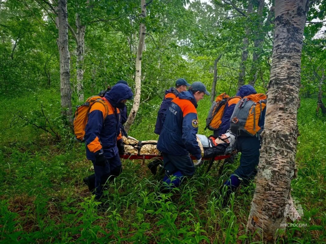 На Камчатке спасатели МЧС России отработали приемы поиска потерявшихся в природной среде людей На Камчатке спасатели МЧС России отработали приемы поиска потерявшихся в природной среде людей