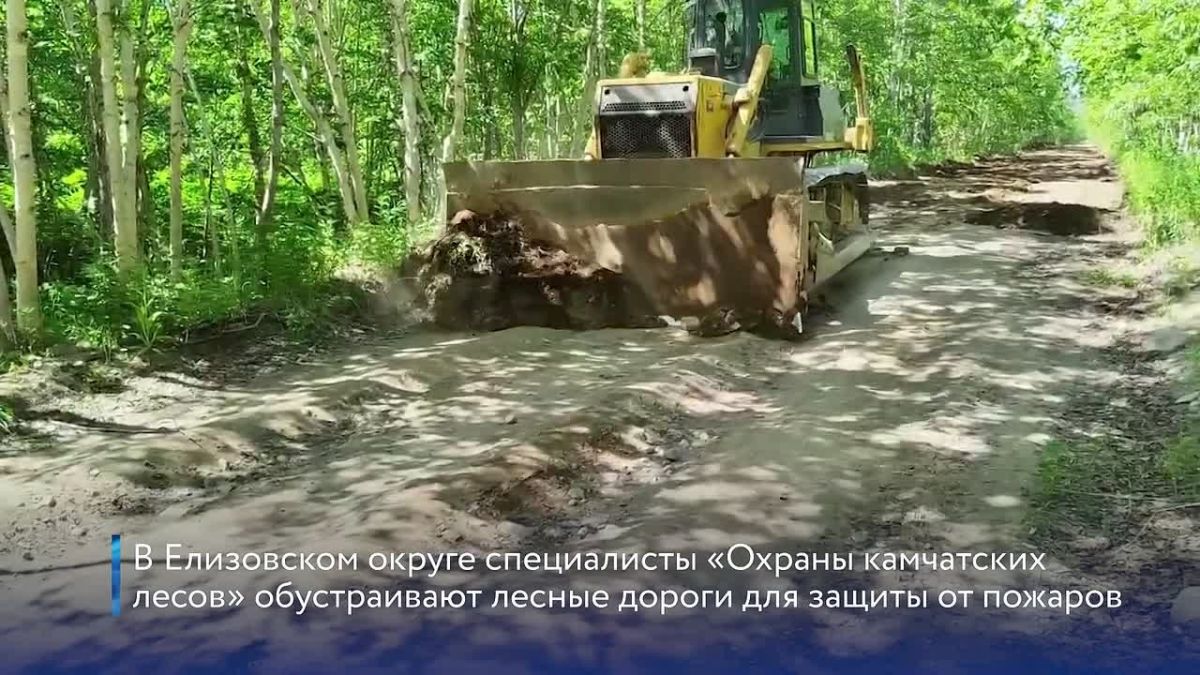 На Камчатке продолжаются работы по обустройству противопожарных лесных дорог
