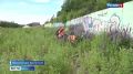 Вторая смена трудовых отрядов „Молодой Петропавловск" подошла к концу