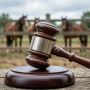 Суд обязал владельца вольера возместить ущерб за ДТП с лошадьми