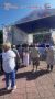 В Петропавсловске-Камчатском прошел второй Фестиваль славянской культуры «От традиций до современности», который в этом году состоялся совместно с масштабным всероссийским проектом «Русское лето» #ZаРоссию