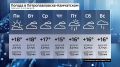 Какая погода ждет камчатцев в будущую неделю? Cмотрите в видео!