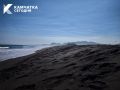 Учёные назвали вероятную причину гибели водоплавающих птиц