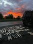 ��� ��������� ���� ��������� � ��������� �����������