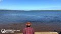 На Командорах стартовал нерест нерки