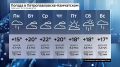 Какая погода ждет камчатцев в будущую неделю? Cмотрите в видео!