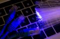 Камчатка без интернета. Что отключат 12 августа и как подготовиться
