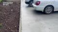 ������� �� ���: ���� �� �������� � ���������� ���������