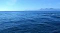 ������� ����� �� ����� � ������� ��������