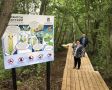 Экотропа теперь ведёт к лизихитонам в УстьБольшерецке