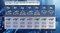 Какая погода ждет камчатцев в будущую неделю? Cмотрите в видео!