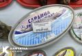 Иваси не вернулась: вылов на Дальнем Востоке в 30 раз ниже прошлогоднего