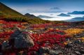 � ��������� ��������������� �������� ����� ������� � �����